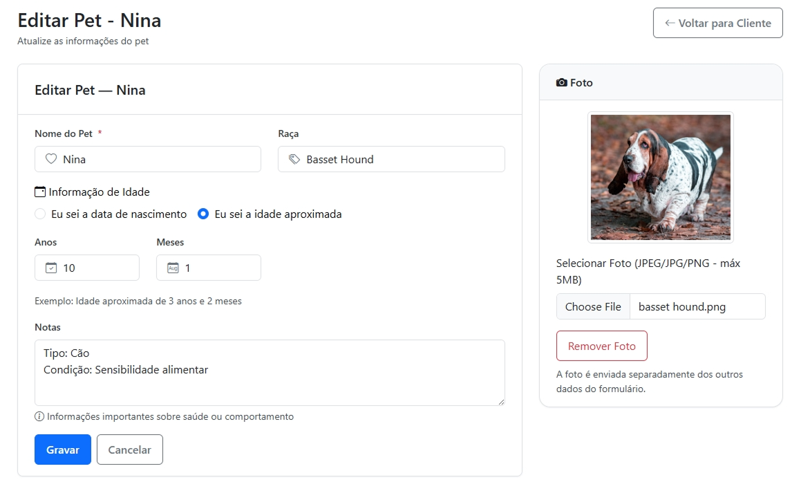 Perfil do Pet - Nome, raça, histórico de serviços